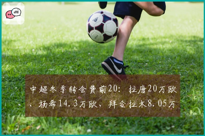 中超冬季转会费前20：拉唐20万欧、杨希14.3万欧、拜合拉木8.05万