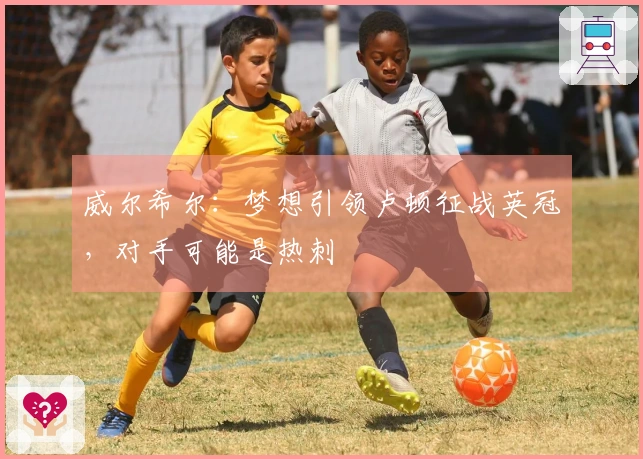 威尔希尔：梦想引领卢顿征战英冠，对手可能是热刺